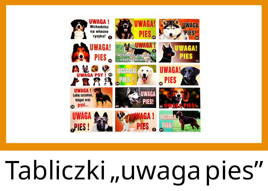 tabliczki uwaga pies